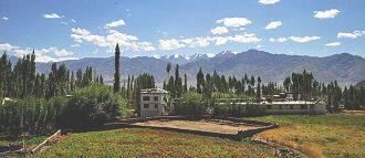 Dorje Guest House, Leh 1